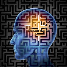 Brain-2